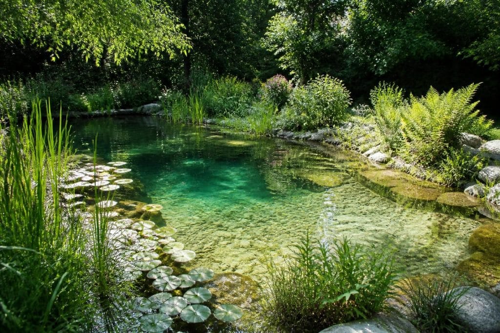 découvrez les piscines naturelles écologiques sans produits chimiques, alliant beauté et respect de l'environnement pour un bain naturel et sain.